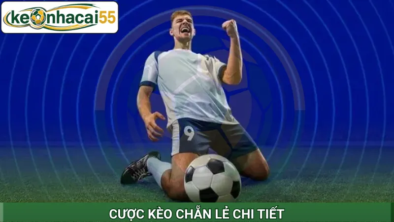 Cược kèo chẵn lẻ chi tiết