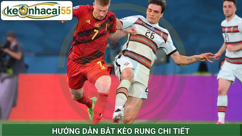 Hướng dẫn bắt kèo rung chi tiết
