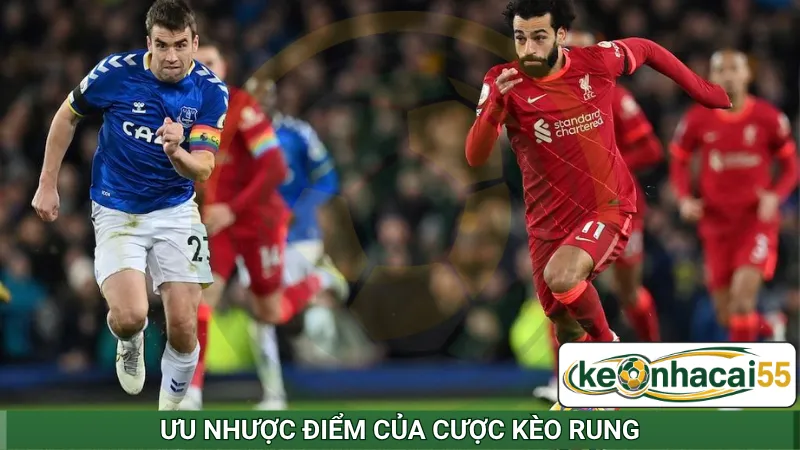 Ưu nhược điểm của cược kèo rung