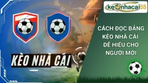 Cách Đọc bảng kèo nhà cái dễ hiểu cho người mới