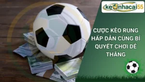 Cược kèo rung hấp dẫn cùng bí quyết chơi dễ thắng