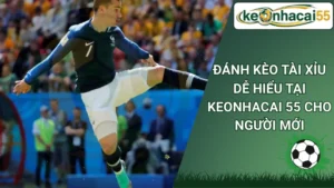 Đánh kèo tài xỉu dễ hiểu tại keonhacai 55 cho người mới