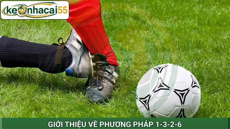Giới thiệu về phương pháp 1-3-2-6