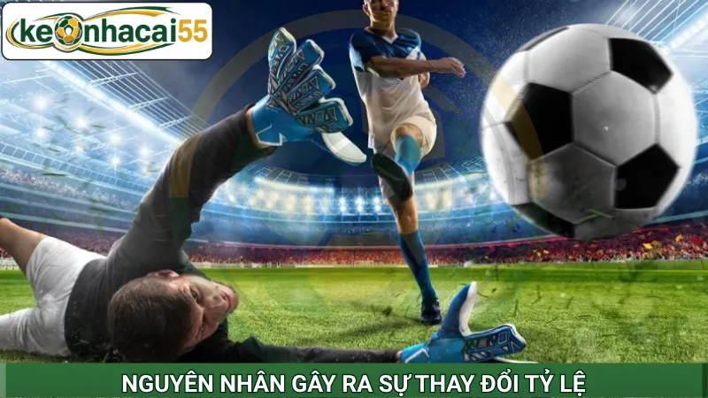 Nguyên nhân gây ra sự thay đổi tỷ lệ