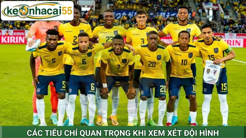 Các tiêu chí quan trọng khi xem xét đội hình