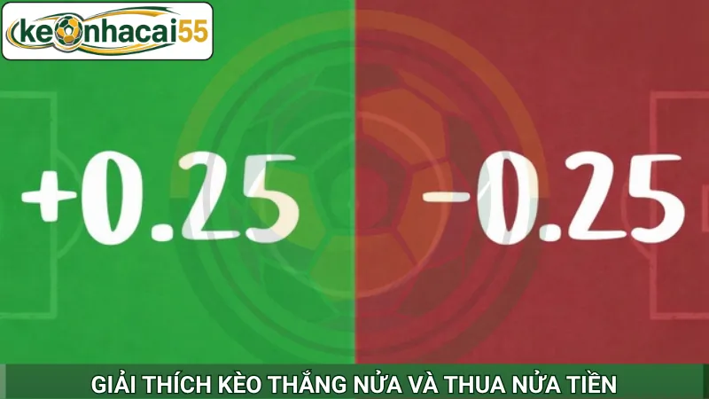 Hướng dẫn cách tính thắng nửa kèo chi tiết