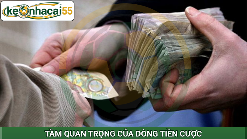 Khái niệm và tầm quan trọng của dòng tiền cược