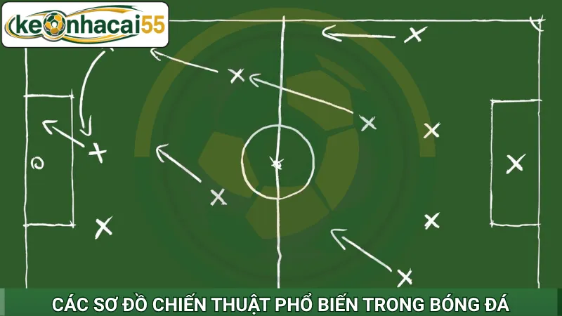 Các sơ đồ chiến thuật phổ biến trong bóng đá