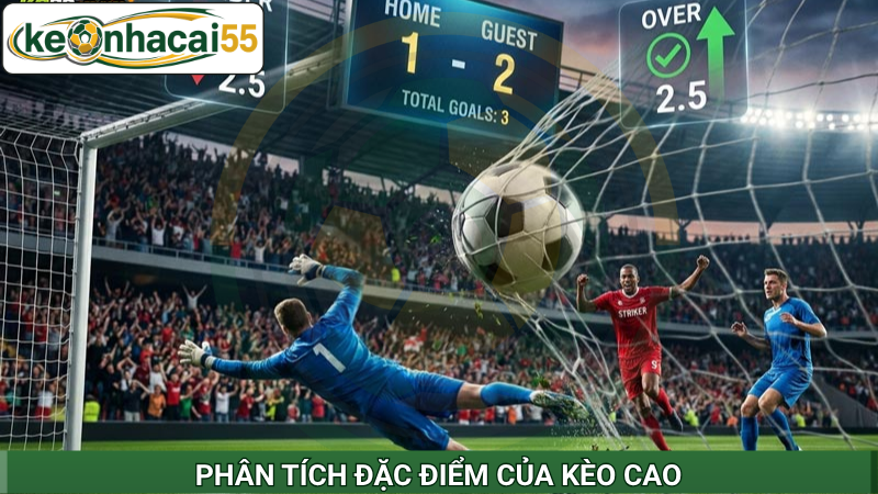 Phân tích đặc điểm của kèo cao