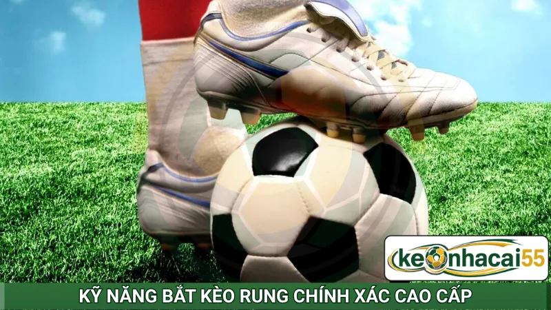 Kỹ năng bắt kèo rung chính xác cao cấp