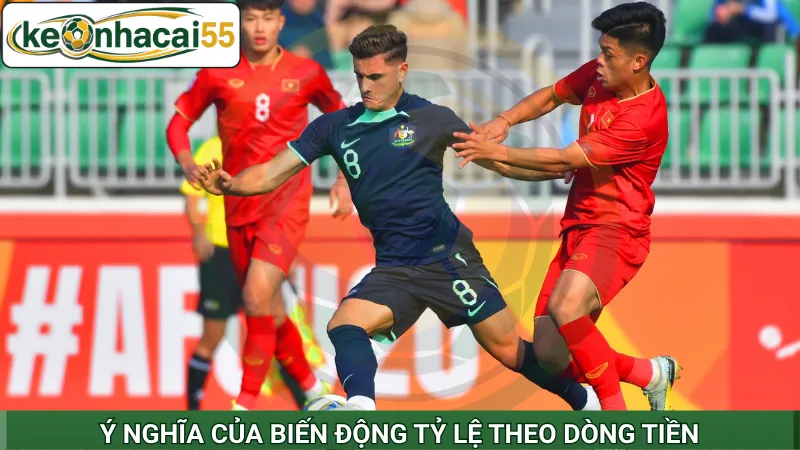 Ý nghĩa của biến động tỷ lệ theo dòng tiền