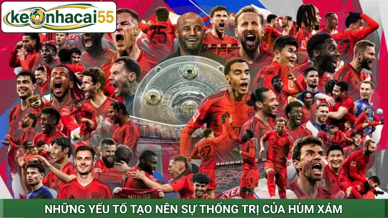 Những yếu tố tạo nên sự thống trị của Hùm Xám