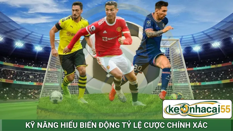 Kỹ năng hiểu biến động tỷ lệ cược chính xác