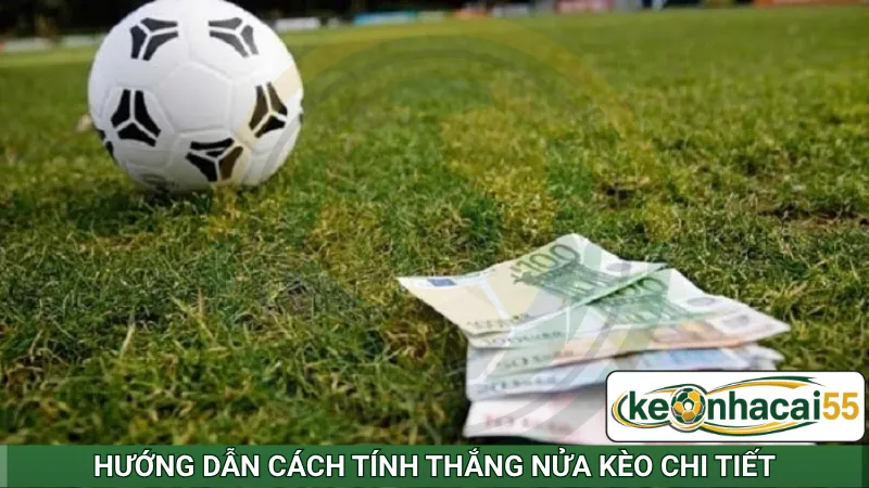Hướng dẫn phân biệt odds thập phân cụ thể