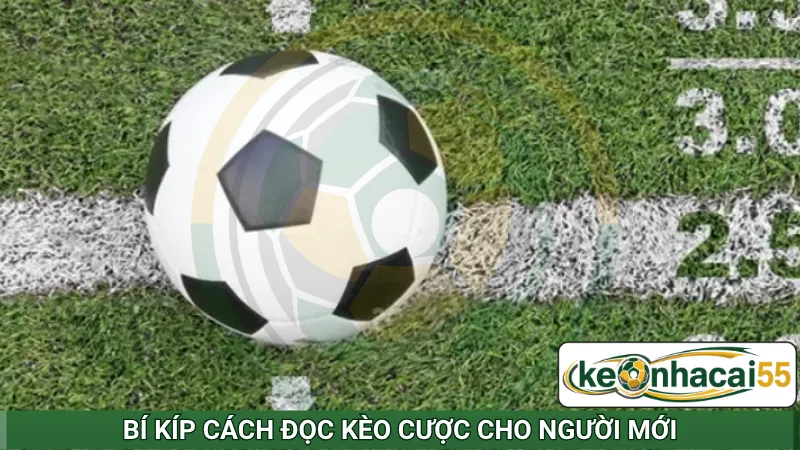 Bí kíp cách đọc kèo cược cho người mới