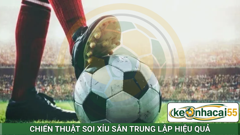 Chiến thuật soi xỉu sân trung lập hiệu quả