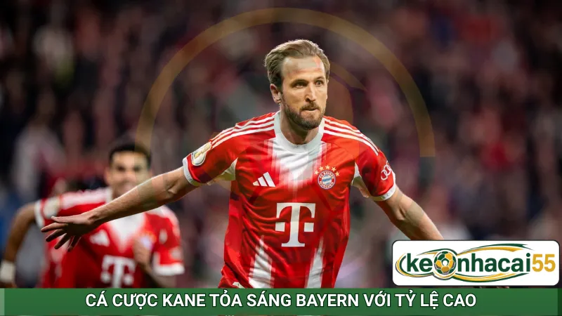 Cá cược Kane tỏa sáng Bayern với tỷ lệ cao