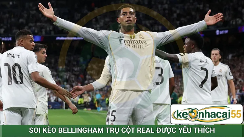 Soi kèo Bellingham trụ cột Real được yêu thích