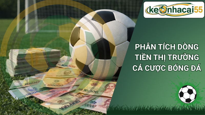 Phân Tích Dòng Tiền Thị Trường Cá Cược Bóng Đá