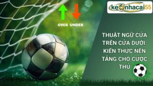 Thuật Ngữ Cửa Trên Cửa Dưới: Kiến Thức Nền Tảng Cho Cược Thủ