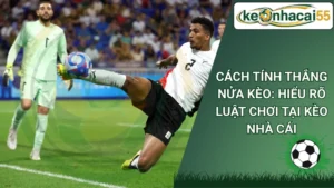 Cách Tính Thắng Nửa Kèo: Hiểu Rõ Luật Chơi Tại Kèo Nhà Cái