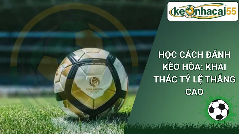 Học Cách Đánh Kèo Hòa: Khai Thác Tỷ Lệ Thắng Cao