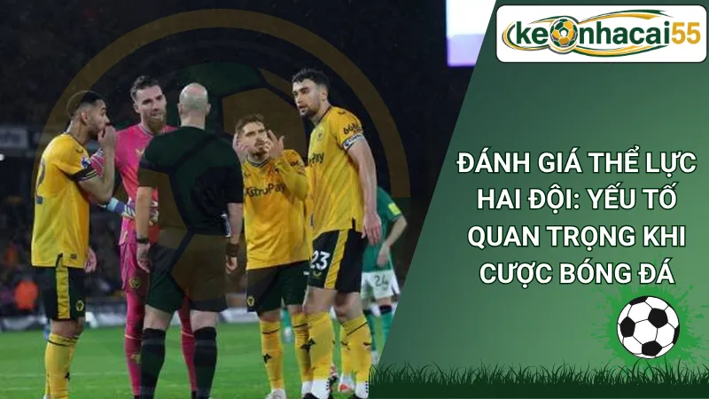 Đánh Giá Thể Lực Hai Đội: Yếu Tố Quan Trọng Khi Cược Bóng Đá
