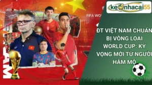 ĐT Việt Nam Chuẩn Bị Vòng Loại World Cup: Kỳ Vọng Mới Từ Người Hâm Mộ