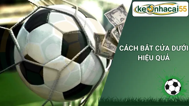 Cách Bắt Cửa Dưới Hiệu Quả