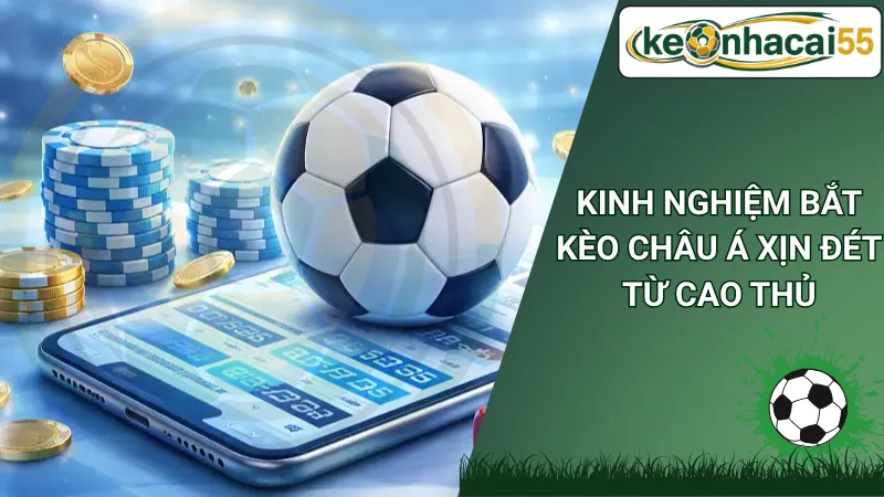 Kinh Nghiệm Bắt Kèo Châu Á Xịn Đét Từ Cao Thủ