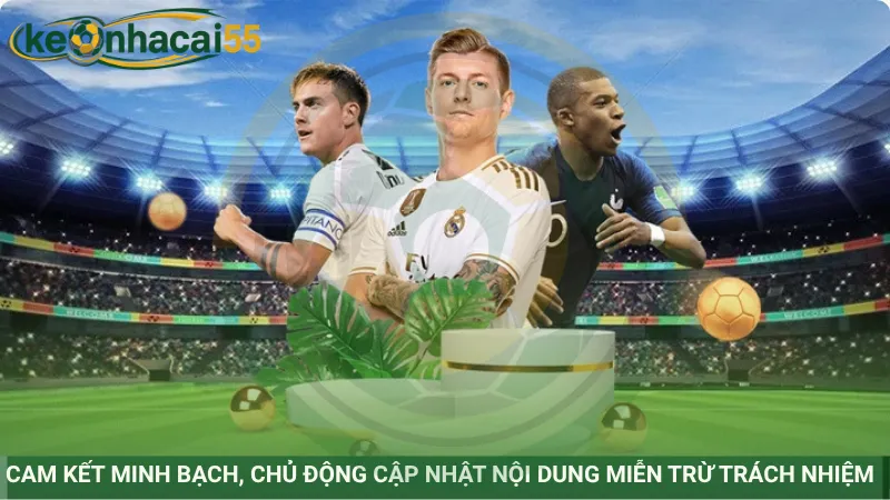 Cam kết minh bạch, chủ động cập nhật nội dung miễn trừ trách nhiệm